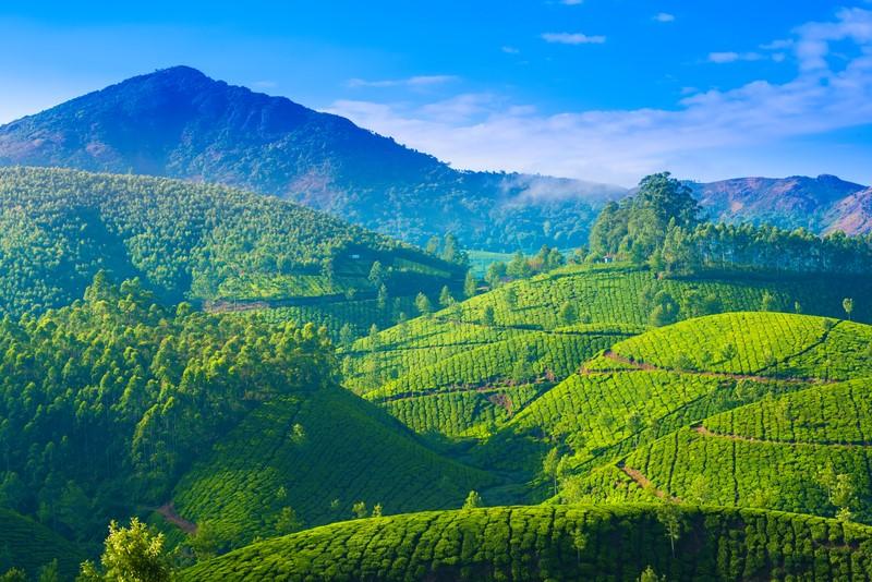 Spice Lands of Kerala Tour & Goa Package Holiday | Viva Holidays